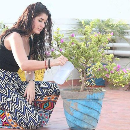 شقة فندقية كولام شيناي المظهر الخارجي الصورة