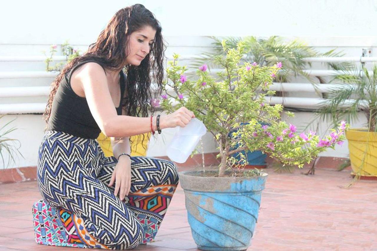 شقة فندقية كولام شيناي المظهر الخارجي الصورة